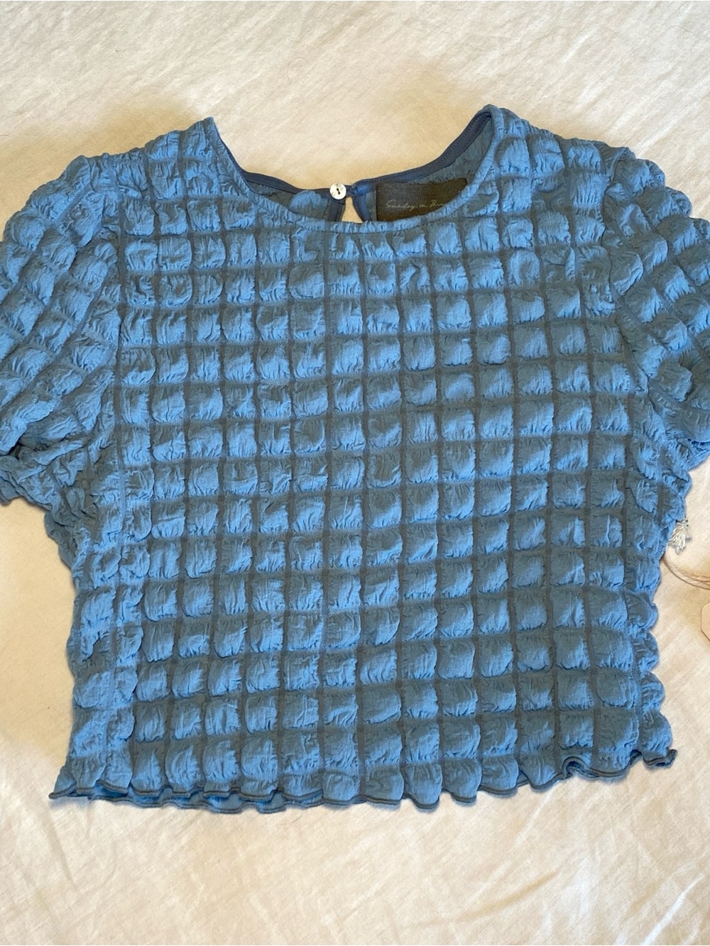 NWT Sunday in Brooklyn Blue Bubble Crop Top